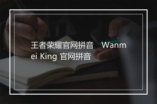 王者荣耀官网拼音　Wanmei King 官网拼音