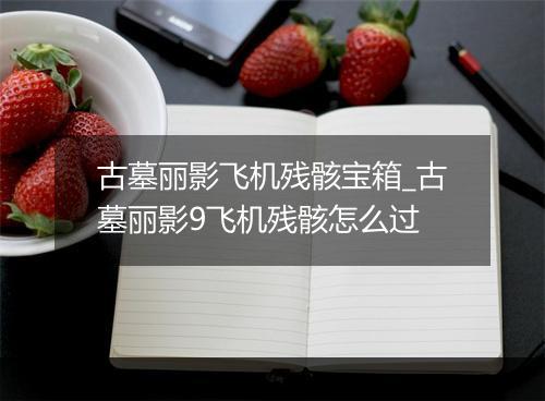 古墓丽影飞机残骸宝箱_古墓丽影9飞机残骸怎么过