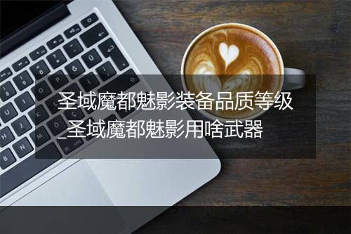 圣域魔都魅影装备品质等级_圣域魔都魅影用啥武器