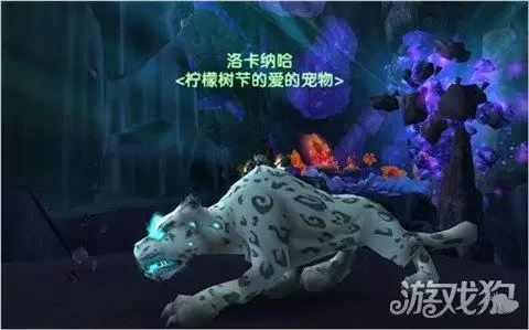 魔兽世界射击猎带什么宝宝　魔兽世界猎人30级宝宝推荐-第2张