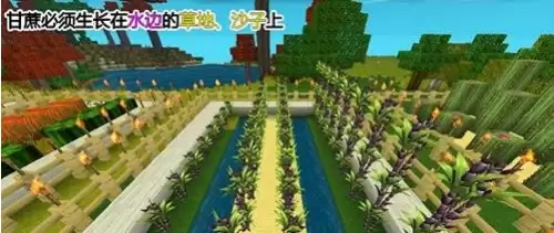迷你世界怎样种食物　迷你世界有几种传送门-第4张