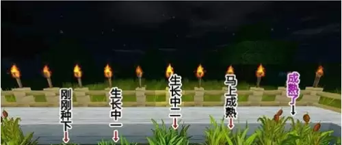 迷你世界怎样种食物　迷你世界有几种传送门-第5张