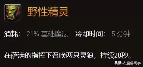 魔兽世界萨满能双持吗　魔兽黑龙MM多少血-第3张