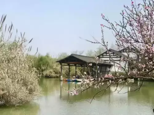 遨游的意思解释是什么　遨游的意思是什么病-第15张