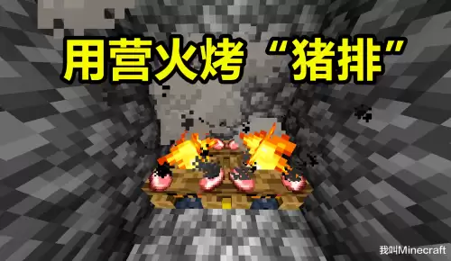 我的世界怎么让动物不长大　mc百科-第3张