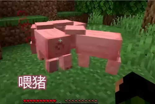 我的世界牛不喂食会饿死吗　我的世界如何养牛-第2张