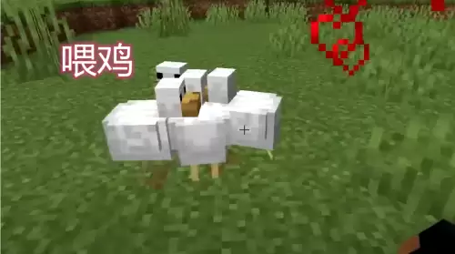 我的世界牛不喂食会饿死吗　我的世界如何养牛-第1张