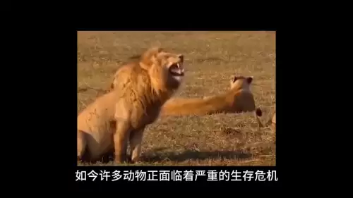 我的世界怎么和动物培养感情　我的世界喂养动物-第2张