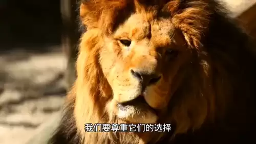 我的世界怎么和动物培养感情　我的世界喂养动物-第3张