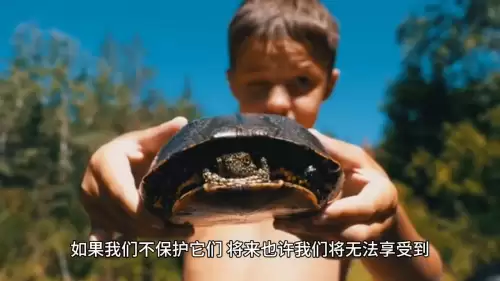 我的世界怎么和动物培养感情　我的世界喂养动物-第4张