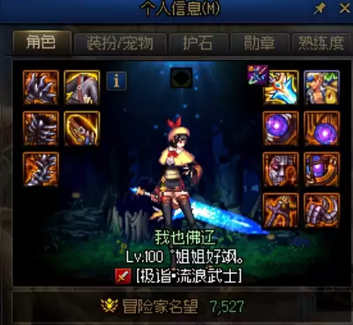 dnf流浪武士勋章选择　流浪武士游戏特色-第28张