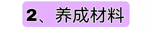 原神灵芝有什么用　原神海灵芝-第7张