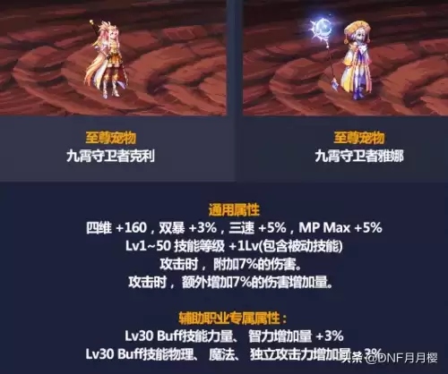 dnf九霄守卫者雅娜　DNF守护者-第5张