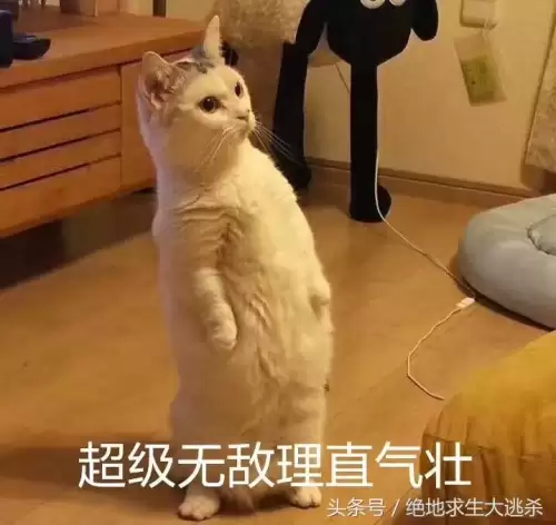 绝地求生如何匹配到外国人　绝地求生怎么匹配到外国人-第2张