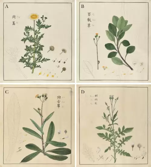 洛克王国2.0紫藤在哪里得　洛克王国兑换紫藤的材料-第3张