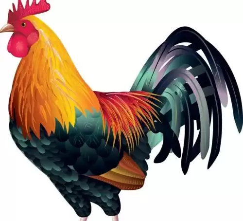 梦见别人吃鸡头什么意思　梦见吃鸡头的周公解梦-第1张