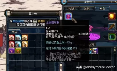 dnf艾力斯宠物　DNF阿斯特罗斯宠物-第8张