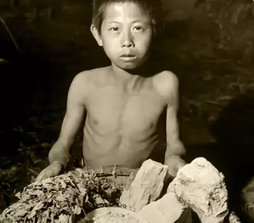 河南饥荒饿死了多少人　1942年发生了什么历史事件-第11张