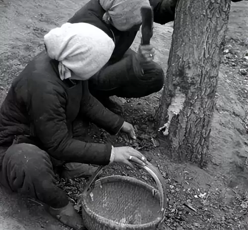 河南饥荒饿死了多少人　1942年发生了什么历史事件-第16张