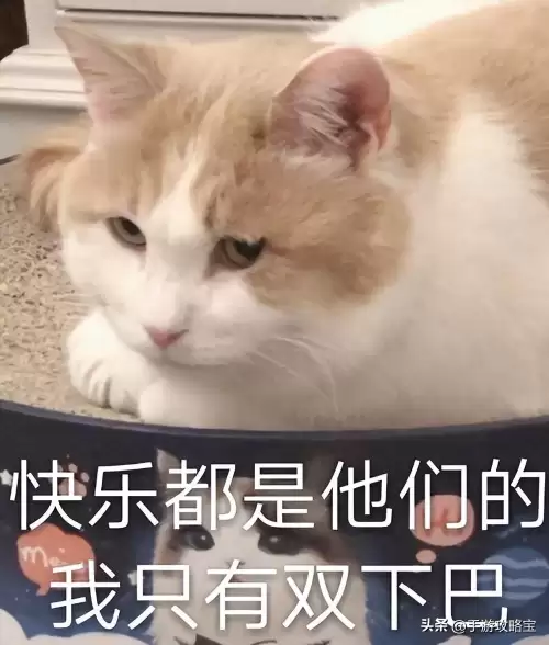 原神卯师傅为什么不卖轻策农家菜　原神轻策庄村长在哪-第3张