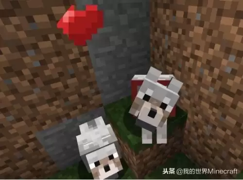 我的世界小动物怎么长大　我的世界 怎么抓动物-第2张