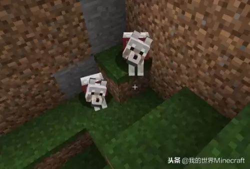 我的世界小动物怎么长大　我的世界 怎么抓动物-第3张