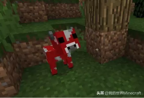 我的世界小动物怎么长大　我的世界 怎么抓动物-第5张