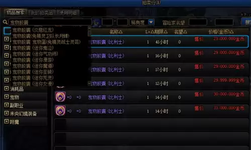 dnf宠物蛋在拍卖行怎么搜索　DNF宠物胶囊的获取方式-第2张