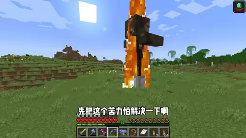 我的世界如何圈养怪物　我的世界怎么圈养村民-第3张