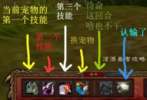 wow战斗宠物怎么发起宠物对战　魔兽世界 宠物对战-第6张