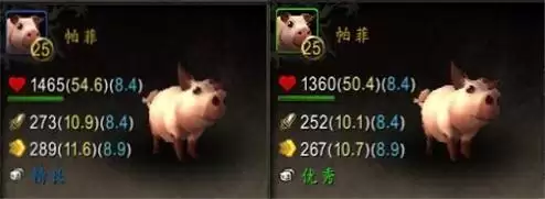 wow战斗宠物怎么发起宠物对战　魔兽世界 宠物对战-第10张