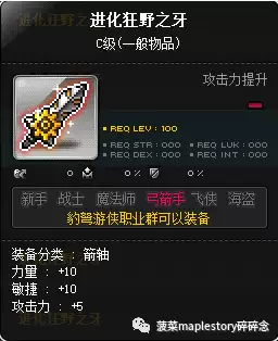 冒险岛豹弩游侠什么时候有豹子　冒险岛豹弩是什么职业-第5张