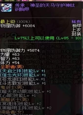 地下城圣骑士换装　圣骑士buff换装-第7张