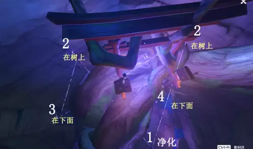原神镇守之森结界怎么解开　原神怎么破除镇守之森结界-第9张