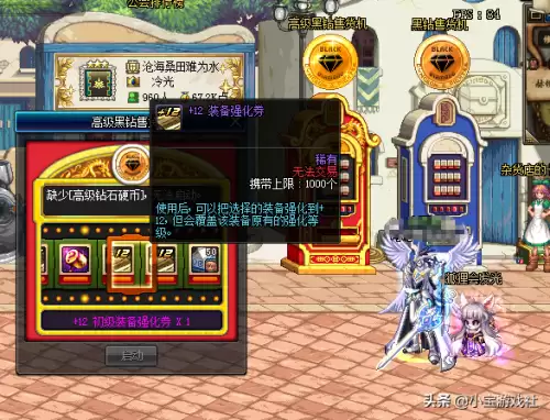 dnf高级黑钻硬币　DNF黑钻硬币-第1张