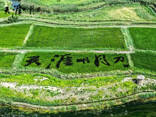 天涯明月刀是在玩什么　天涯明月刀玩的人多吗-第7张