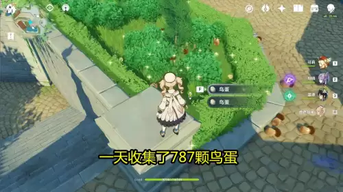 原神有没有卖鸟蛋的　原神哪个商人卖鸟蛋-第5张