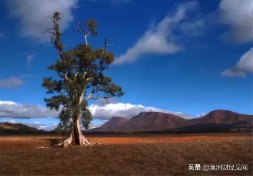 宇宙探险队什么时候可以伐林　宇宙探险物语森林的砍伐-第28张