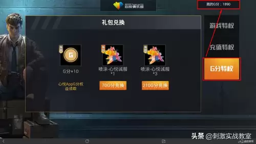和平精英怎么看成长经验　和平精英前500查询-第3张
