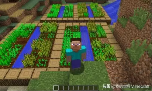 我的世界怎么喂养　我的世界如何驯服猫-第3张