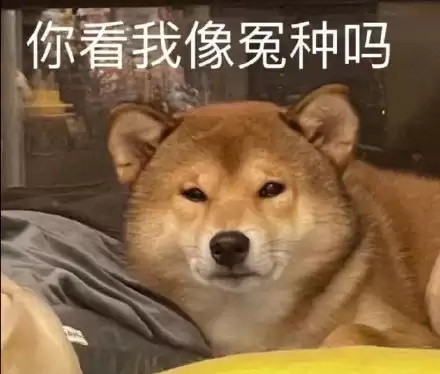 原神风龙泪滴副本怎么打　星空龙是哪个副本的-第29张