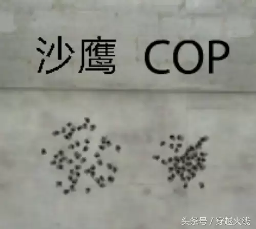 穿越火线弓箭叫什么名字　穿越火线武器名字大全-第2张