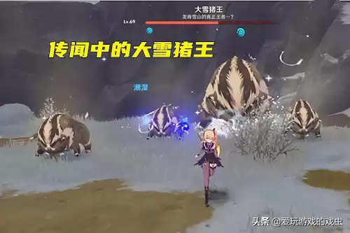 原神北方好肉族在哪里　原神哪里的猪肉最多-第2张