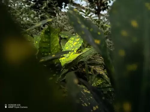 华为荣耀x30玩吃鸡怎么样　华为荣耀3x-第21张