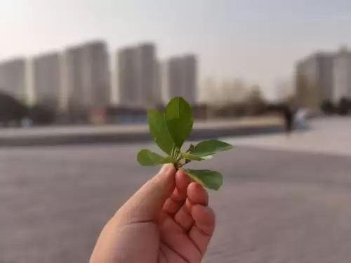 华为p40pro自带吃鸡神器吗　华为 Mate30 Pro-第26张