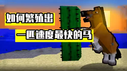 我的世界中怎么让马繁殖　我的世界如何繁殖好马-第1张