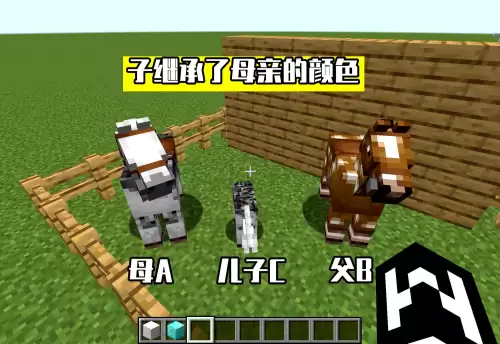 我的世界中怎么让马繁殖　我的世界如何繁殖好马-第3张
