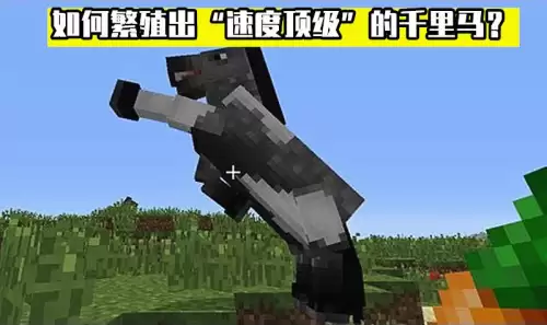 我的世界中怎么让马繁殖　我的世界如何繁殖好马-第5张