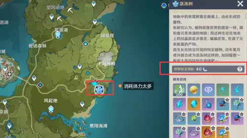 原神辅助有必要升80级吗　原神辅助角色升到多少级-第4张