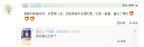 迷你世界熊猫怎么停止跟随　迷你世界怎么驯服熊猫-第4张